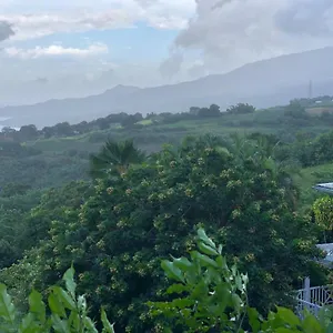 https://mango.comcaribbean.com